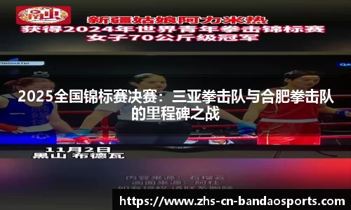 2025全国锦标赛决赛:三亚拳击队与合肥拳击队的里程碑之战